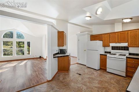 Tiny photo for 125 Comanche Circle, Florissant, CO 80816 (MLS # 6490356)