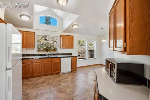 Tiny photo for 125 Comanche Circle, Florissant, CO 80816 (MLS # 6490356)