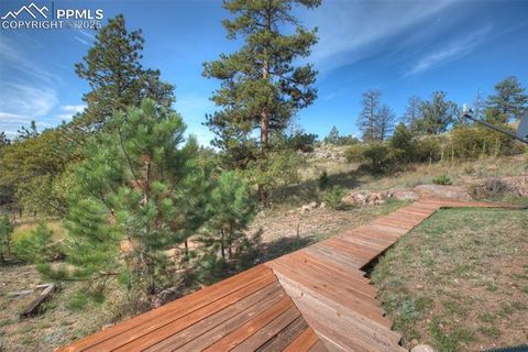 Tiny photo for 125 Comanche Circle, Florissant, CO 80816 (MLS # 6490356)