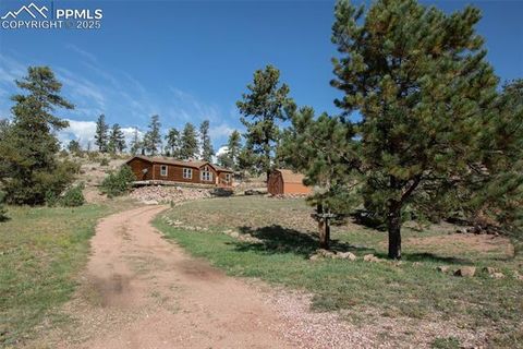 Tiny photo for 125 Comanche Circle, Florissant, CO 80816 (MLS # 6490356)