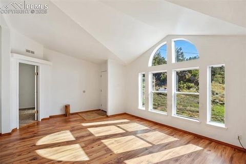 Tiny photo for 125 Comanche Circle, Florissant, CO 80816 (MLS # 6490356)