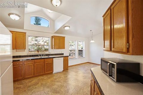 Tiny photo for 125 Comanche Circle, Florissant, CO 80816 (MLS # 6490356)