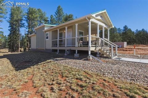 Tiny photo for 1311 Calm Mountain Point, Woodland Park, CO 80863 (MLS # 7982495)