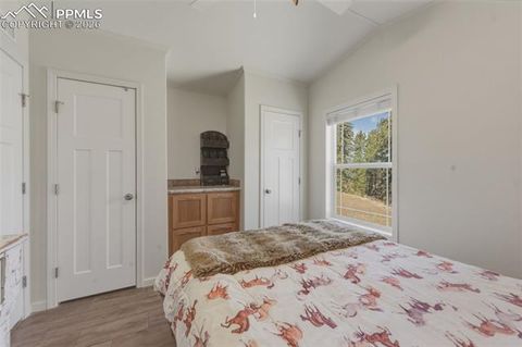 Tiny photo for 1311 Calm Mountain Point, Woodland Park, CO 80863 (MLS # 7982495)