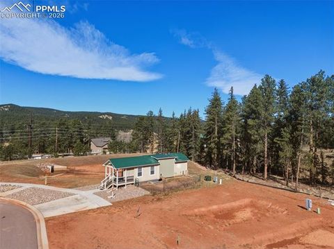 Tiny photo for 1311 Calm Mountain Point, Woodland Park, CO 80863 (MLS # 7982495)