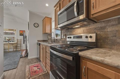 Tiny photo for 1311 Calm Mountain Point, Woodland Park, CO 80863 (MLS # 7982495)