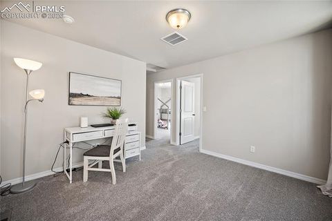 Tiny photo for 4295 Samaritan Loop, Colorado Springs, CO 80916 (MLS # 8701328)