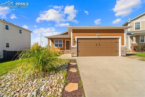 Photo of 7950 Calamint Court, Fountain, CO 80817 (MLS # 5709973)