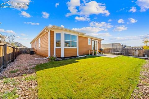 Tiny photo for 7950 Calamint Court, Fountain, CO 80817 (MLS # 5709973)
