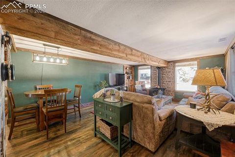Tiny photo for 919 W Browning Avenue, Woodland Park, CO 80863 (MLS # 7204896)