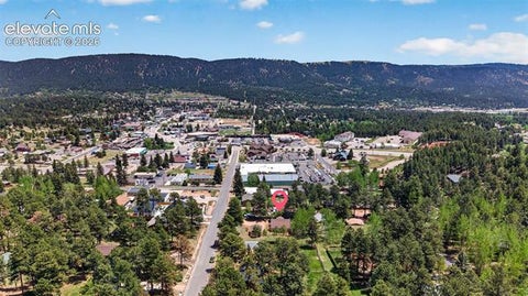 Tiny photo for 919 W Browning Avenue, Woodland Park, CO 80863 (MLS # 7204896)