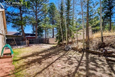 Tiny photo for 919 W Browning Avenue, Woodland Park, CO 80863 (MLS # 7204896)