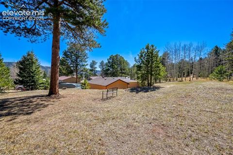Tiny photo for 919 W Browning Avenue, Woodland Park, CO 80863 (MLS # 7204896)