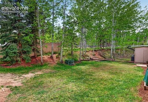 Tiny photo for 919 W Browning Avenue, Woodland Park, CO 80863 (MLS # 7204896)