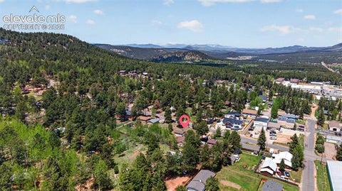 Tiny photo for 919 W Browning Avenue, Woodland Park, CO 80863 (MLS # 7204896)
