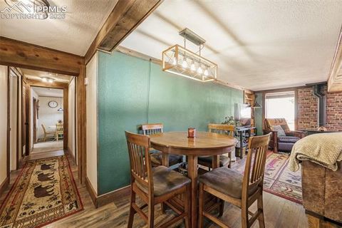 Tiny photo for 919 W Browning Avenue, Woodland Park, CO 80863 (MLS # 7204896)