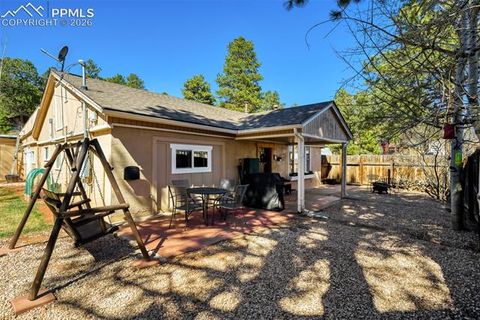 Photo of 919 W Browning Avenue, Woodland Park, CO 80863 (MLS # 7204896)