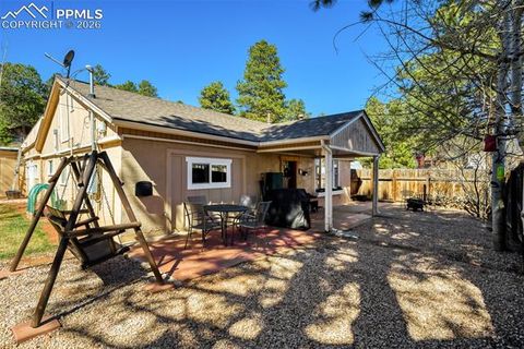 Photo of 919 W Browning Avenue, Woodland Park, CO 80863 (MLS # 7204896)