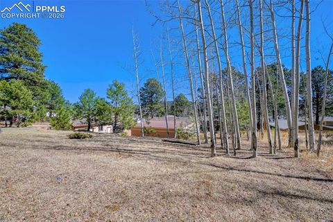 Tiny photo for 919 W Browning Avenue, Woodland Park, CO 80863 (MLS # 7204896)