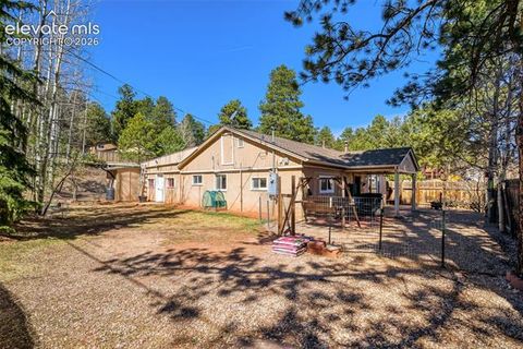 Tiny photo for 919 W Browning Avenue, Woodland Park, CO 80863 (MLS # 7204896)