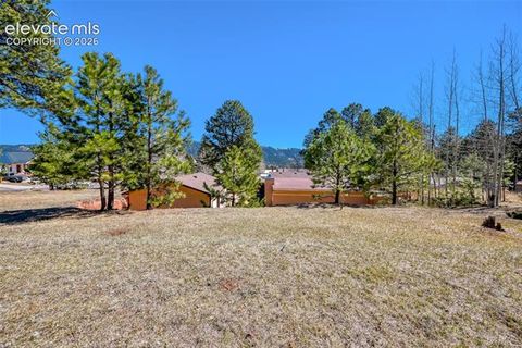 Tiny photo for 919 W Browning Avenue, Woodland Park, CO 80863 (MLS # 7204896)
