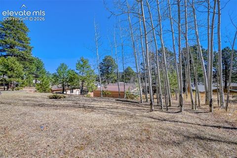 Tiny photo for 919 W Browning Avenue, Woodland Park, CO 80863 (MLS # 7204896)
