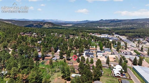 Tiny photo for 919 W Browning Avenue, Woodland Park, CO 80863 (MLS # 7204896)