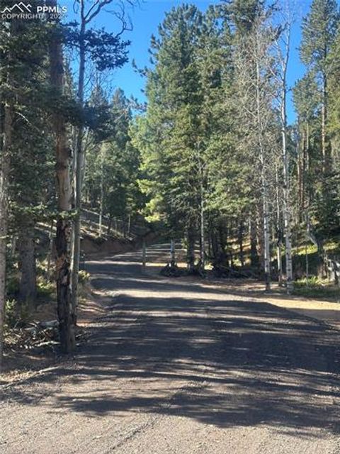 Tiny photo for 458 Spruce Lake Drive, Divide, CO 80814 (MLS # 8155124)