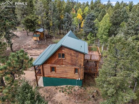 Tiny photo for 458 Spruce Lake Drive, Divide, CO 80814 (MLS # 8155124)