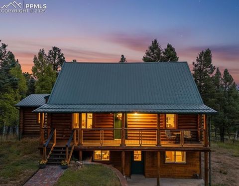 Photo of 458 Spruce Lake Drive, Divide, CO 80814 (MLS # 8155124)