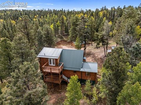 Tiny photo for 458 Spruce Lake Drive, Divide, CO 80814 (MLS # 8155124)