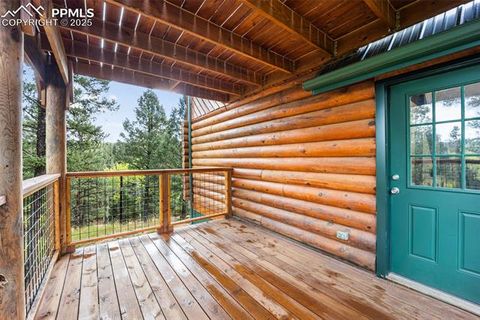 Tiny photo for 458 Spruce Lake Drive, Divide, CO 80814 (MLS # 8155124)
