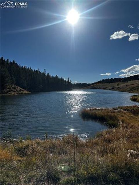 Tiny photo for 458 Spruce Lake Drive, Divide, CO 80814 (MLS # 8155124)