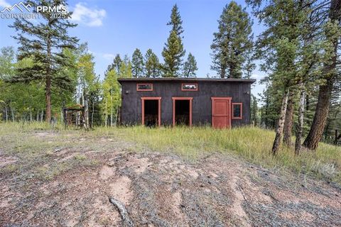 Tiny photo for 458 Spruce Lake Drive, Divide, CO 80814 (MLS # 8155124)