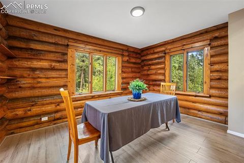 Tiny photo for 458 Spruce Lake Drive, Divide, CO 80814 (MLS # 8155124)