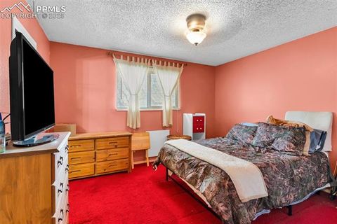 Tiny photo for 290 Field Avenue, Canon City, CO 81212 (MLS # 9937548)