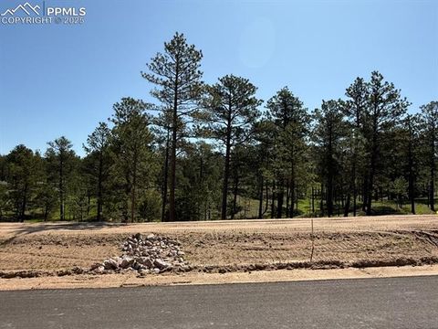 Photo of 14863 Bourbon Court, Colorado Springs, CO 80908 (MLS # 7285545)
