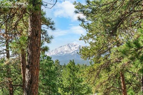 Photo of 156 E Ridge Drive, Woodland Park, CO 80863 (MLS # 7655992)