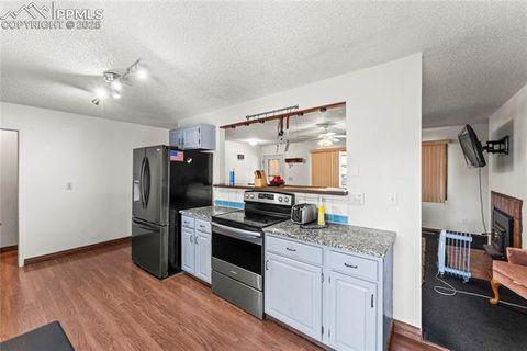 Tiny photo for 98 Illini Drive, Woodland Park, CO 80863 (MLS # 8300485)