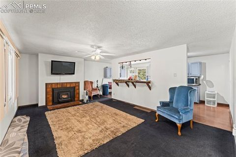 Tiny photo for 98 Illini Drive, Woodland Park, CO 80863 (MLS # 8300485)