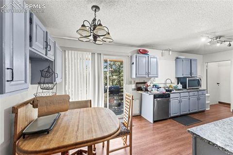 Tiny photo for 98 Illini Drive, Woodland Park, CO 80863 (MLS # 8300485)