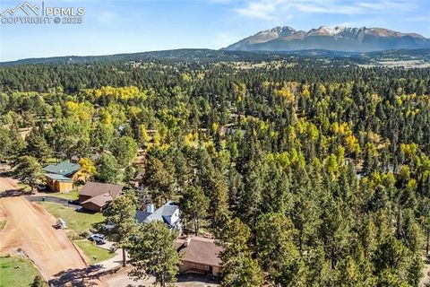 Tiny photo for 98 Illini Drive, Woodland Park, CO 80863 (MLS # 8300485)