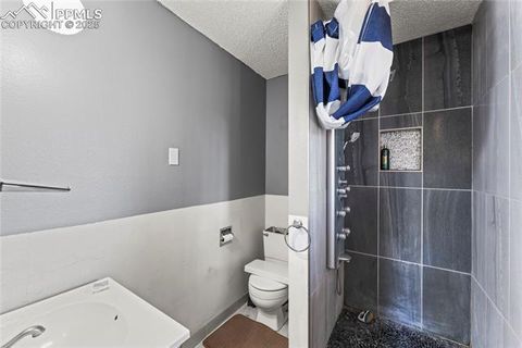 Tiny photo for 98 Illini Drive, Woodland Park, CO 80863 (MLS # 8300485)