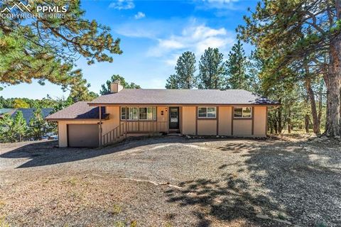Photo of 98 Illini Drive, Woodland Park, CO 80863 (MLS # 8300485)