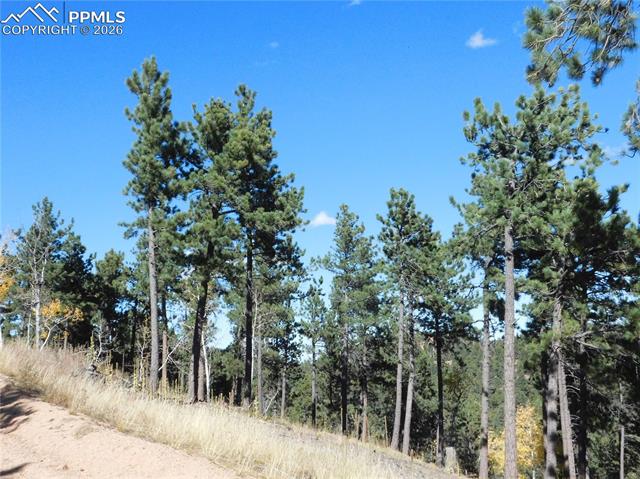 13886 Boulder Lane, Larkspur, CO, 80118 13886 Boulder Lane