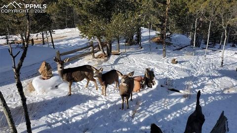 Tiny photo for 47 Aspen Road, Woodland Park, CO 80863 (MLS # 3244423)