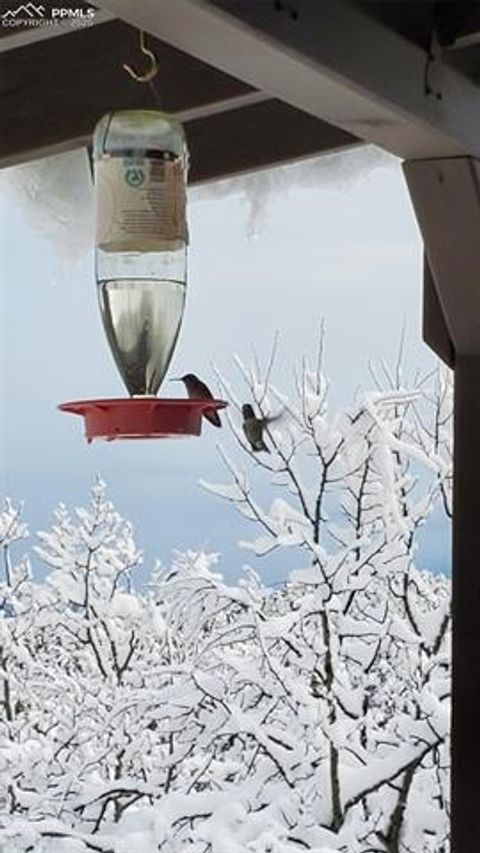 Tiny photo for 47 Aspen Road, Woodland Park, CO 80863 (MLS # 3244423)