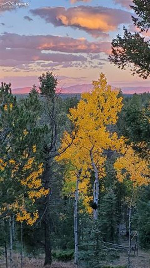 Tiny photo for 47 Aspen Road, Woodland Park, CO 80863 (MLS # 3244423)