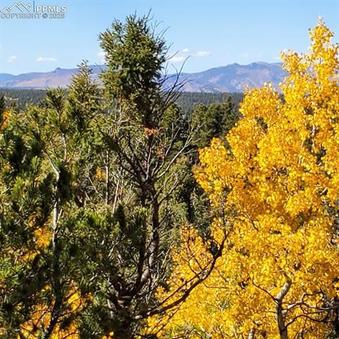 Tiny photo for 47 Aspen Road, Woodland Park, CO 80863 (MLS # 3244423)