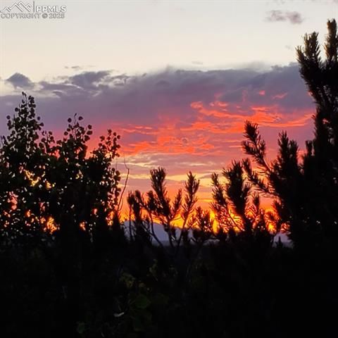 Tiny photo for 47 Aspen Road, Woodland Park, CO 80863 (MLS # 3244423)